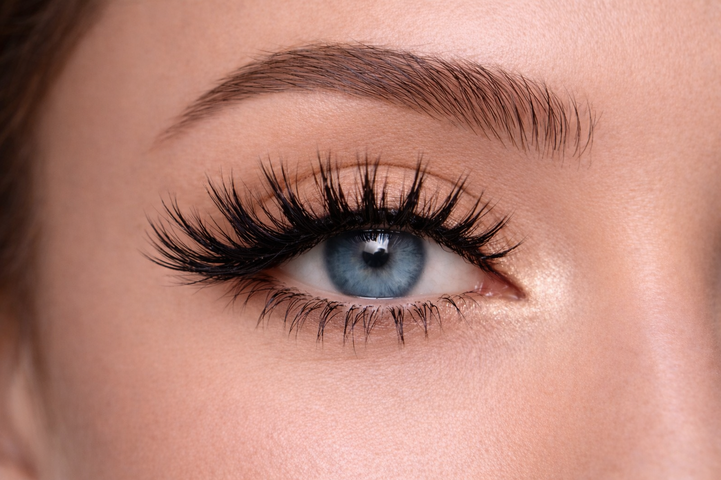 Ollivia Lash